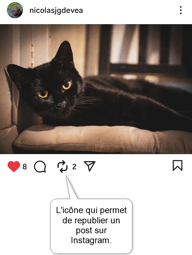 Capture d'écran qui présente l'icône pour republier un post sur Instagram.